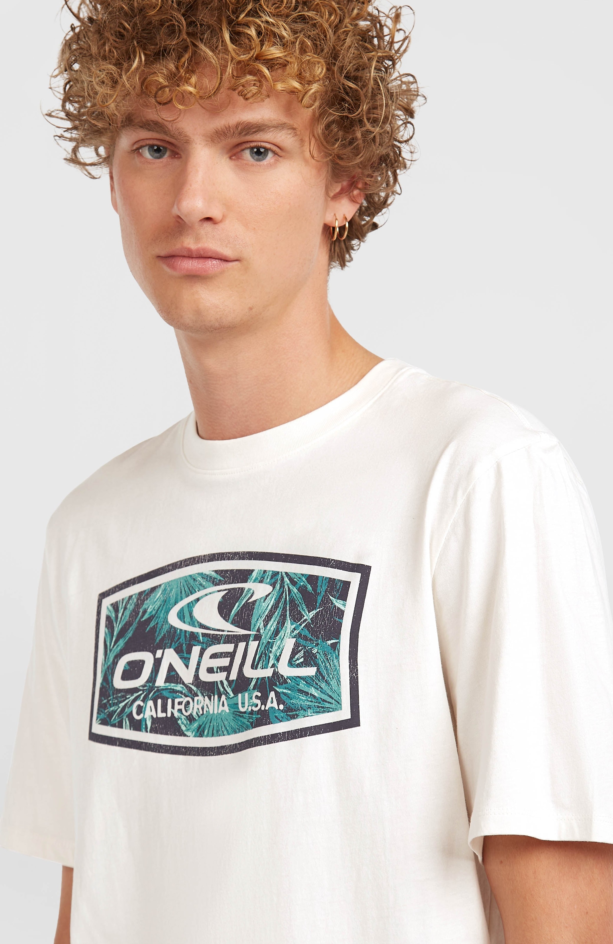 O'Neill T-Shirt »O'NEILL GRAPHIC T-SHIRT«, 1 Stk.