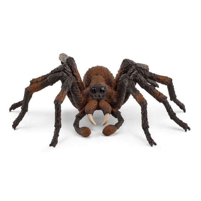 HARRY POTTER - Aragog