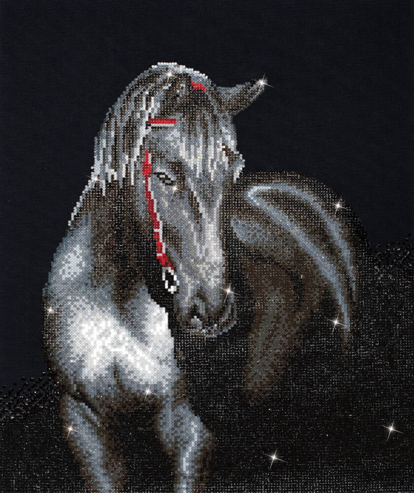 Diamond Dotz Mitternachtshengst 42 x 53 cm