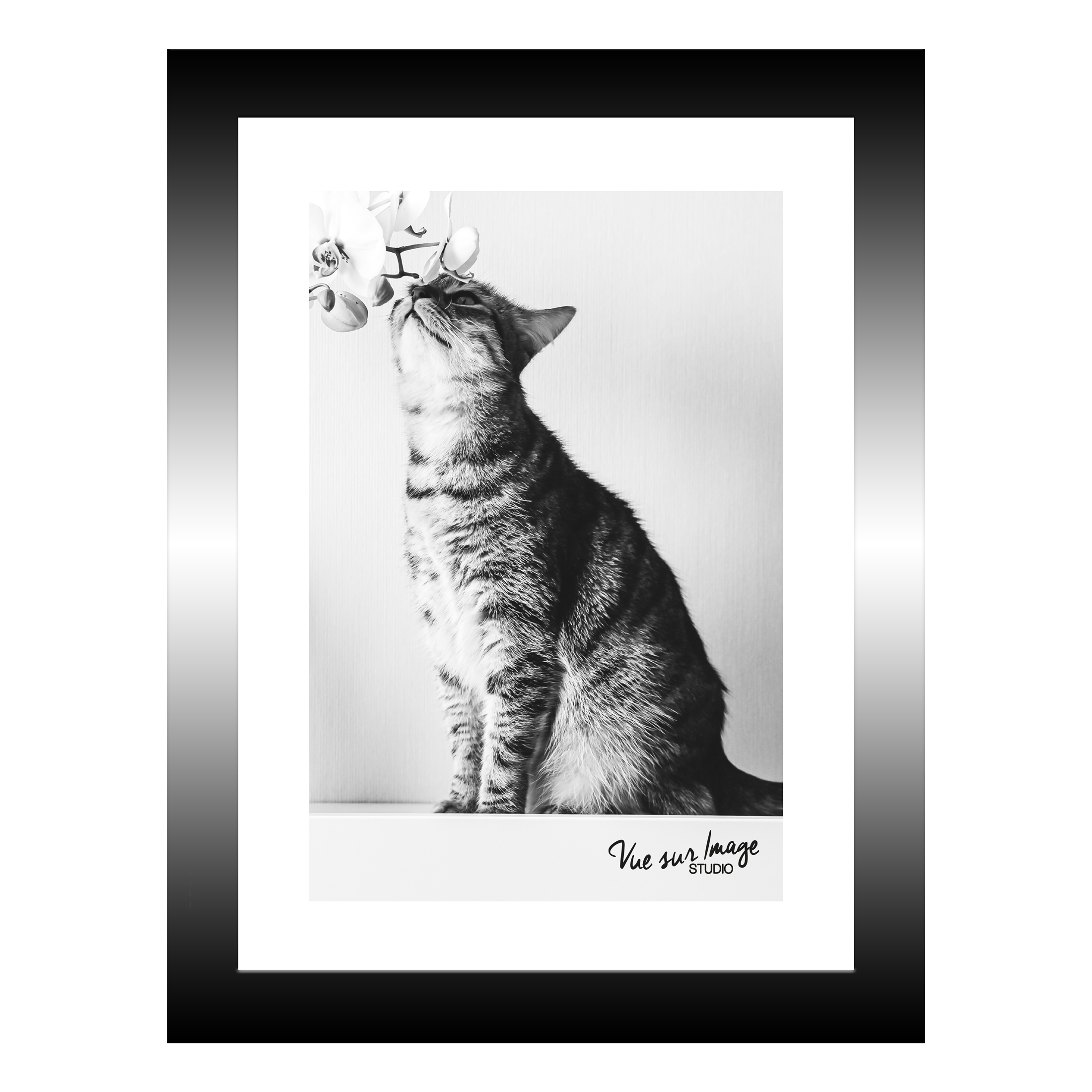 TABLEAU 15X20CM BAGUETTE NOIRE CHAT