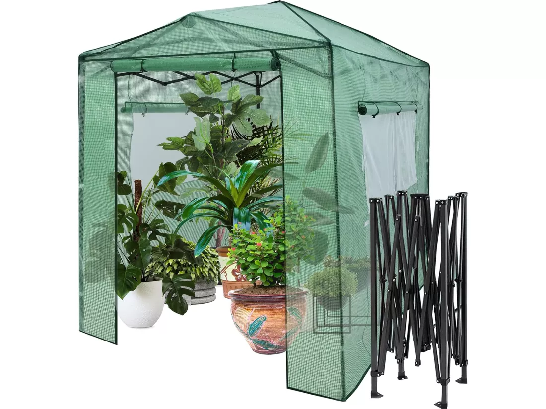 Serre de Jardin Portable avec 2 Larges Fenêtres Observation,180 x 250CM