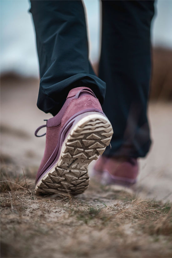 Lowa Lowa Ascona Gore-Tex Lo Wandelschoen Dames