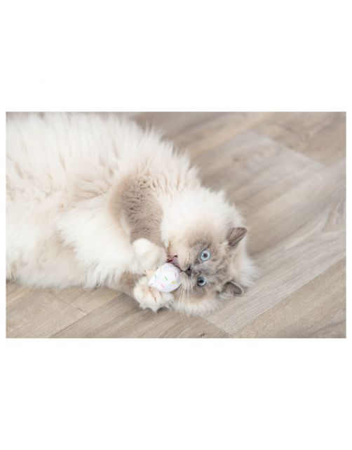 Trixie Catnip Speelgoed Ijs En Cupcake - Kattenspeelgoed - 7 cm