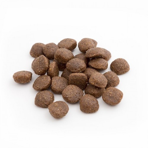Ração energética para cães Breedna