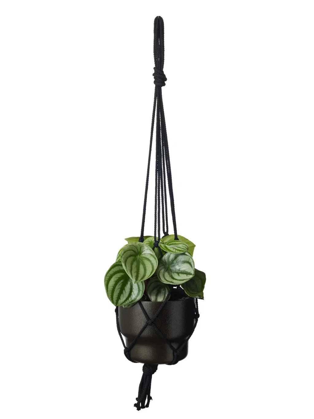 Ampel makramé Lengde 80 cm