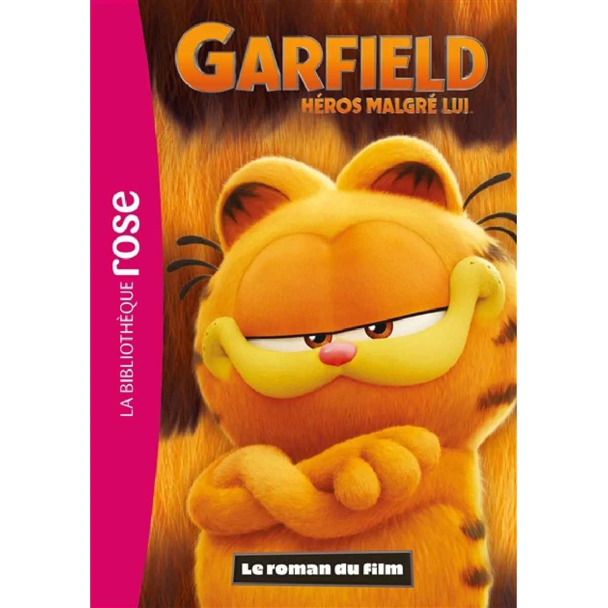 Garfield : héros malgré lui : le roman du film · Occasion
