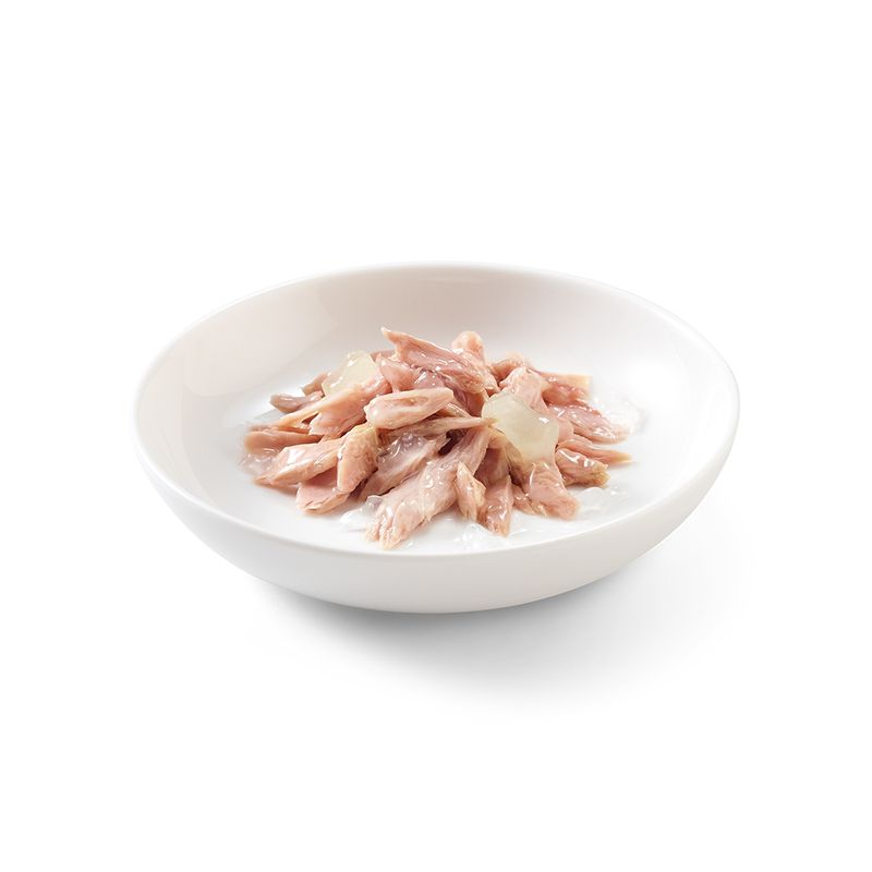 Schesir en gelée 6 x 85 g