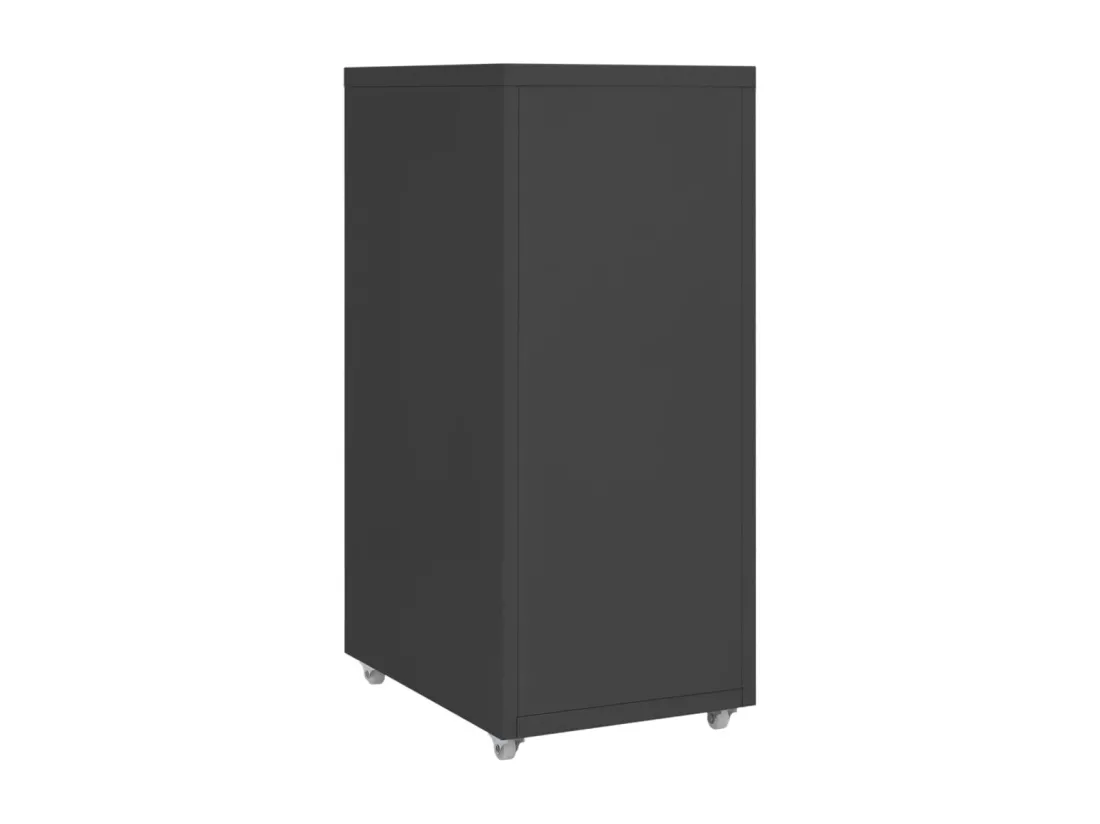 Classeur mobile Anthracite 28x41x69 cm Métal