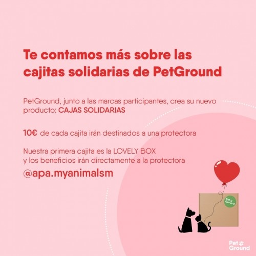 Caixa especial de solidariedade e carinho da Petground para cães.