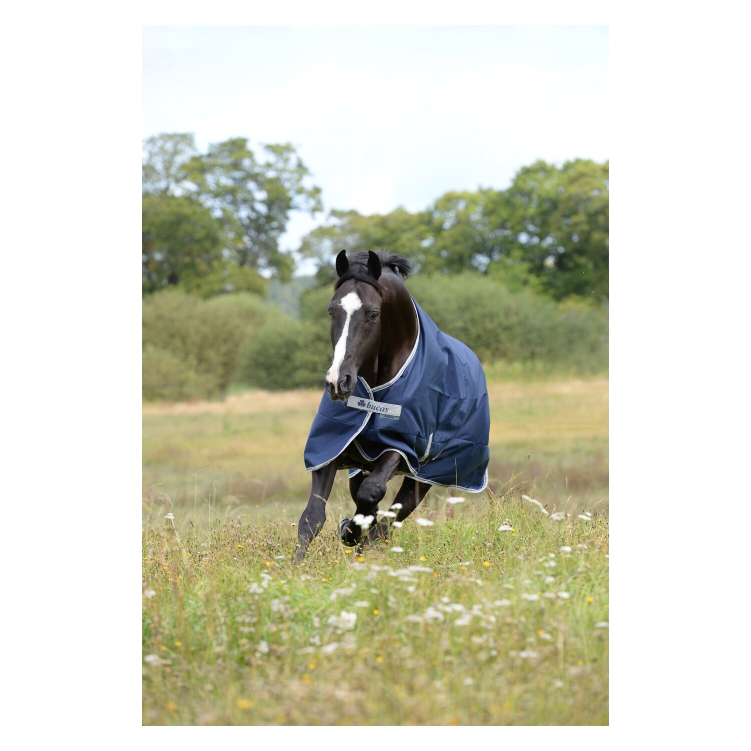 bucas Outdoordecke Freedom Turnout 150 g - navy