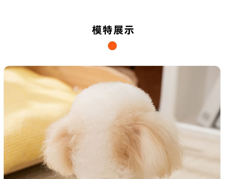 Cissilli - Bear Checker Pet Top