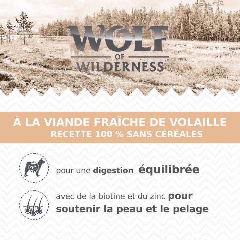 Wolf of Wilderness Senior “Expedition” 6 x 400 g