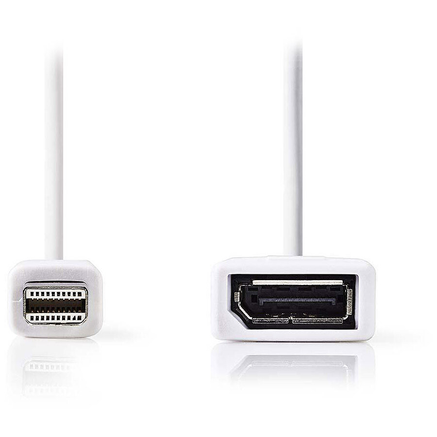 NEDIS Câble Mini DisplayPort mâle vers DisplayPort femelle