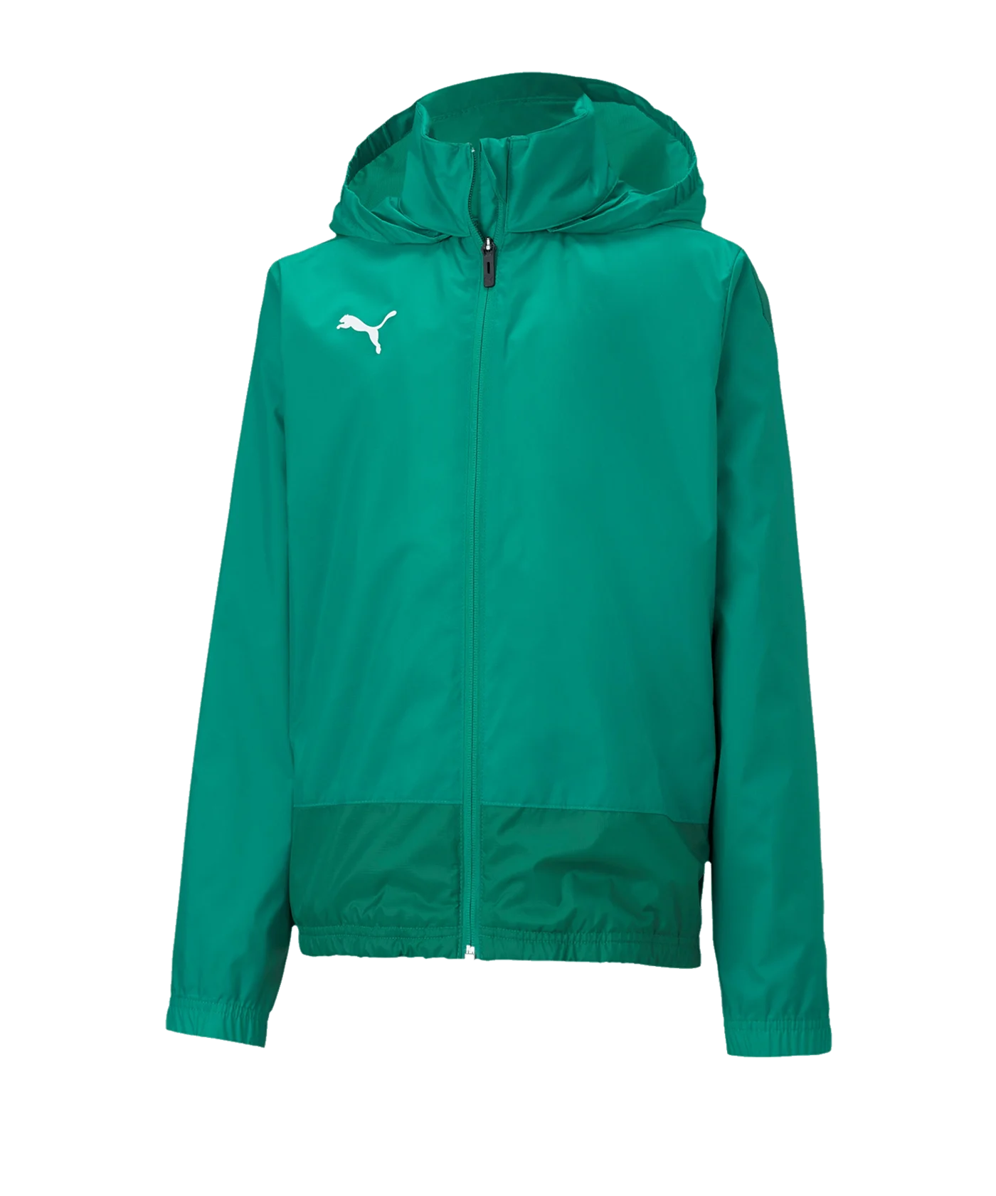 PUMA teamGOAL 23 Training Regenjacke Kids Grün F05