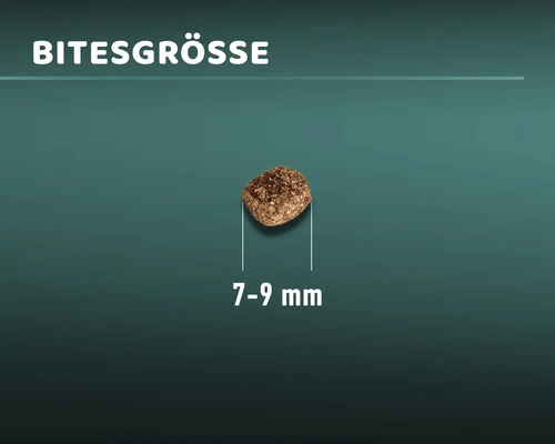 MR.BEEF Activ droogvoer voor katten, 3 kg, rundvlees, non-GMO, zonder toegevoegde suikers, zonder kunstmatige kleurstoffen, zonder soja. Gemaakt in Duitsland.