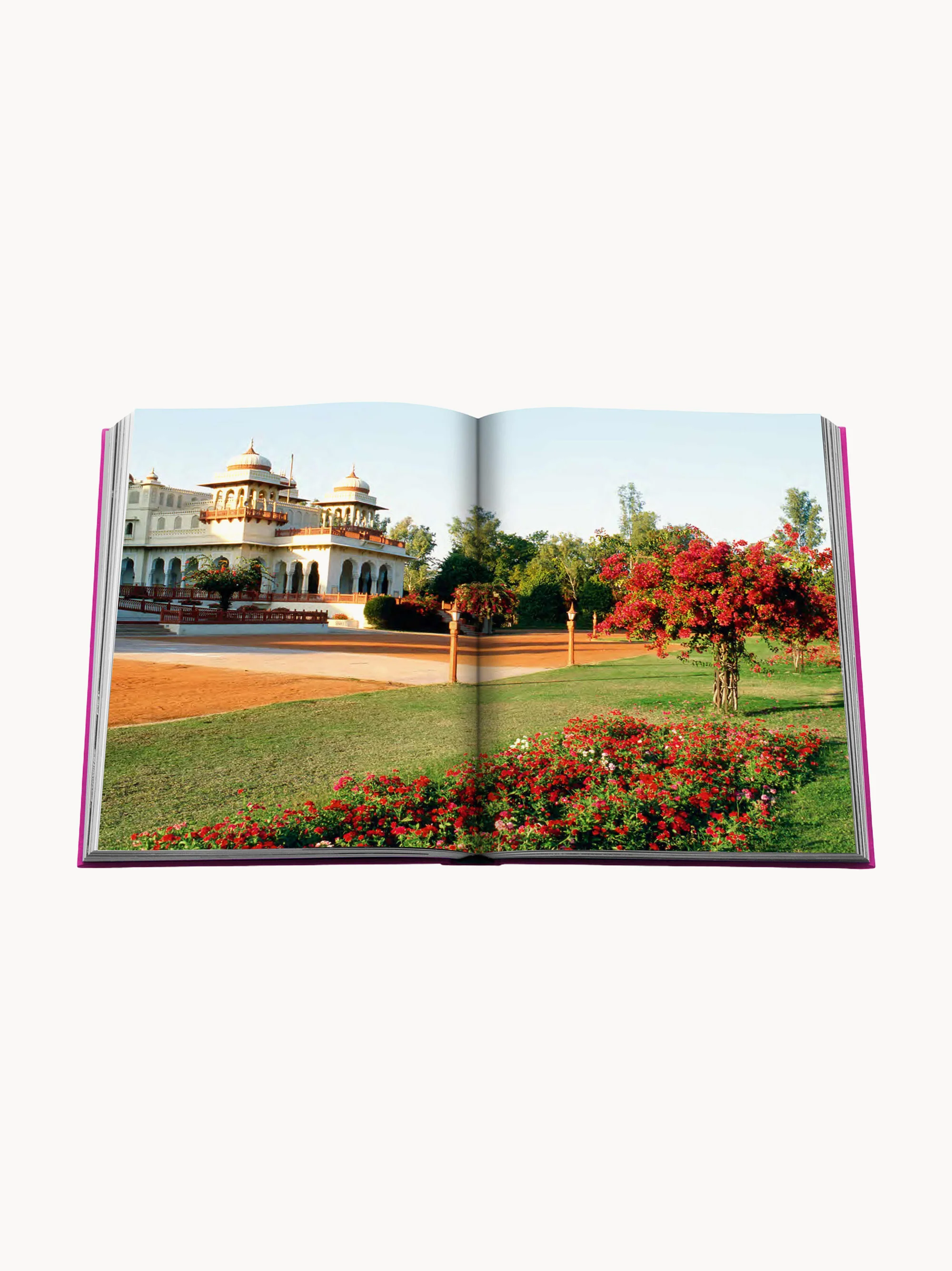 Salontafelboek Jaipur Pracht