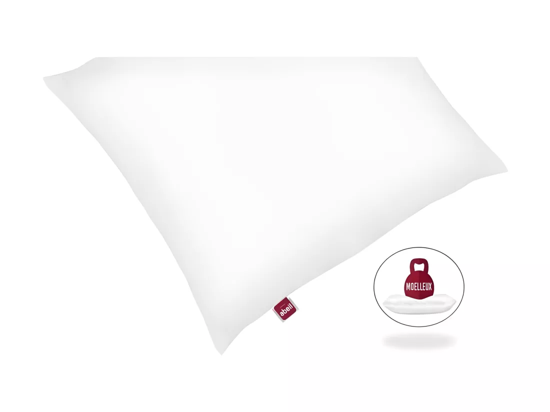 ABEIL Lot de 2 Oreillers moelleux ICEBERG 60x60cm