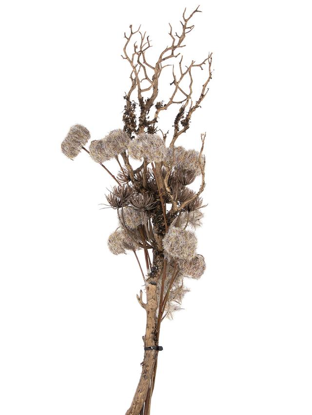 Arrangement mit Astzweig