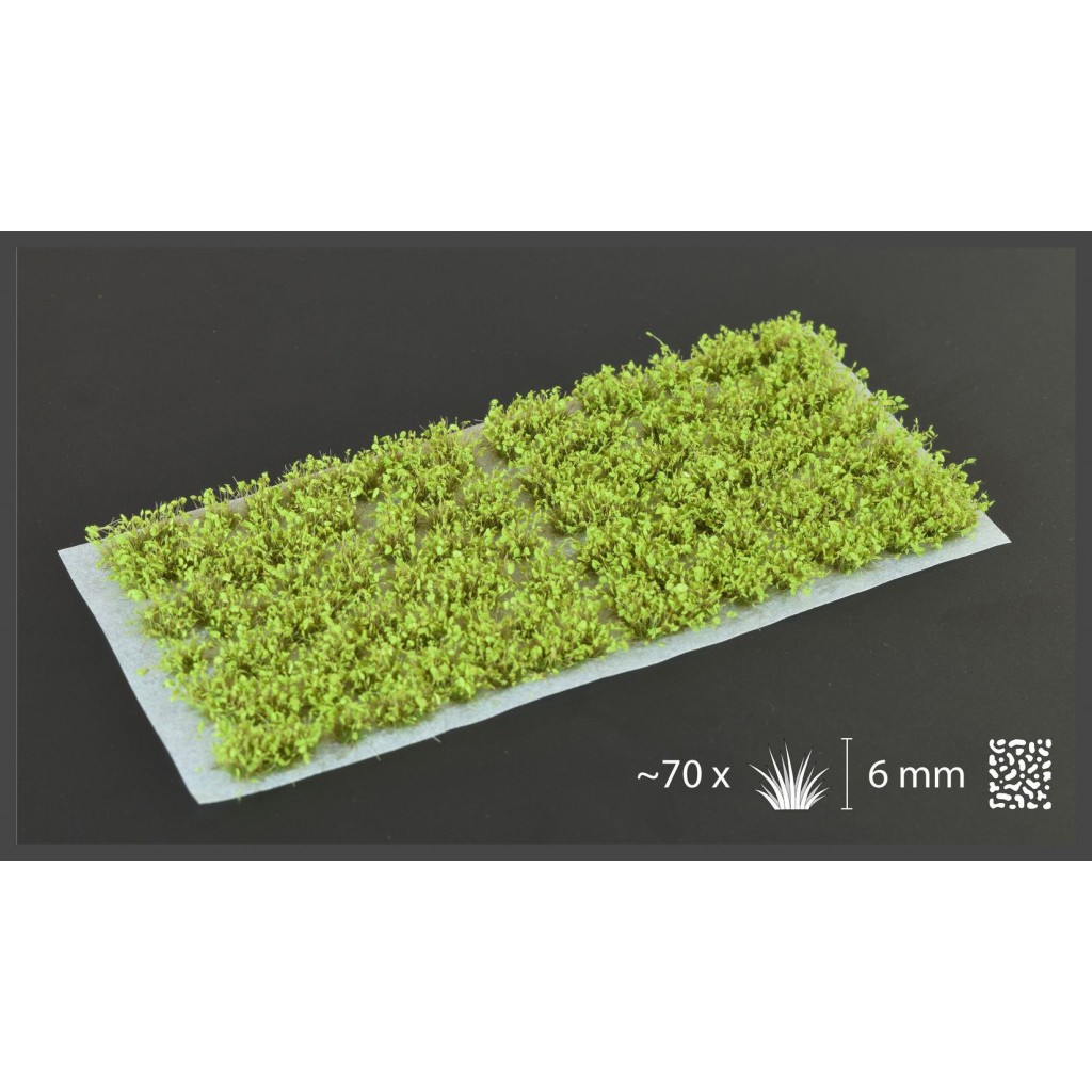 Green Shrubs