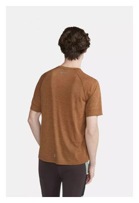 Maillot manches courtes running Craft ADV Trail Wool Marron