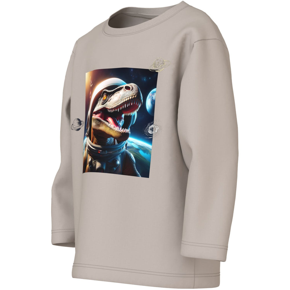 Køb Name It Chateau Gray Space Dino Nmmvoto Ls Nreg Top