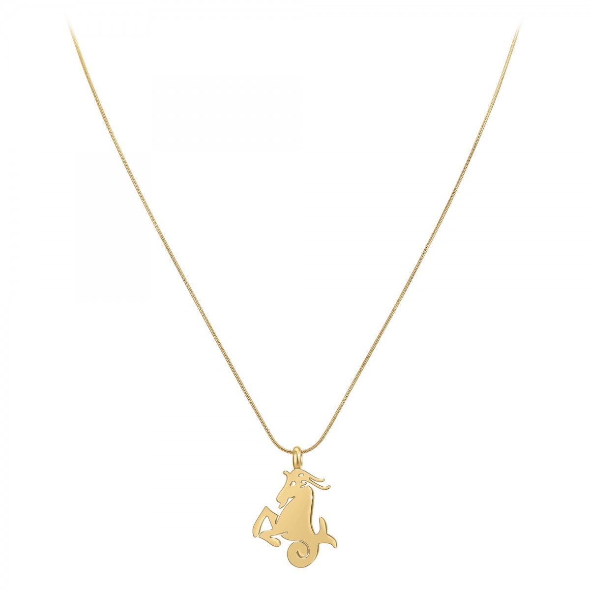 Collier astrologie  Capricorne  SC Bohème en Acier Finement doré