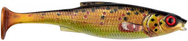 LMAB Köfi Roach Shads