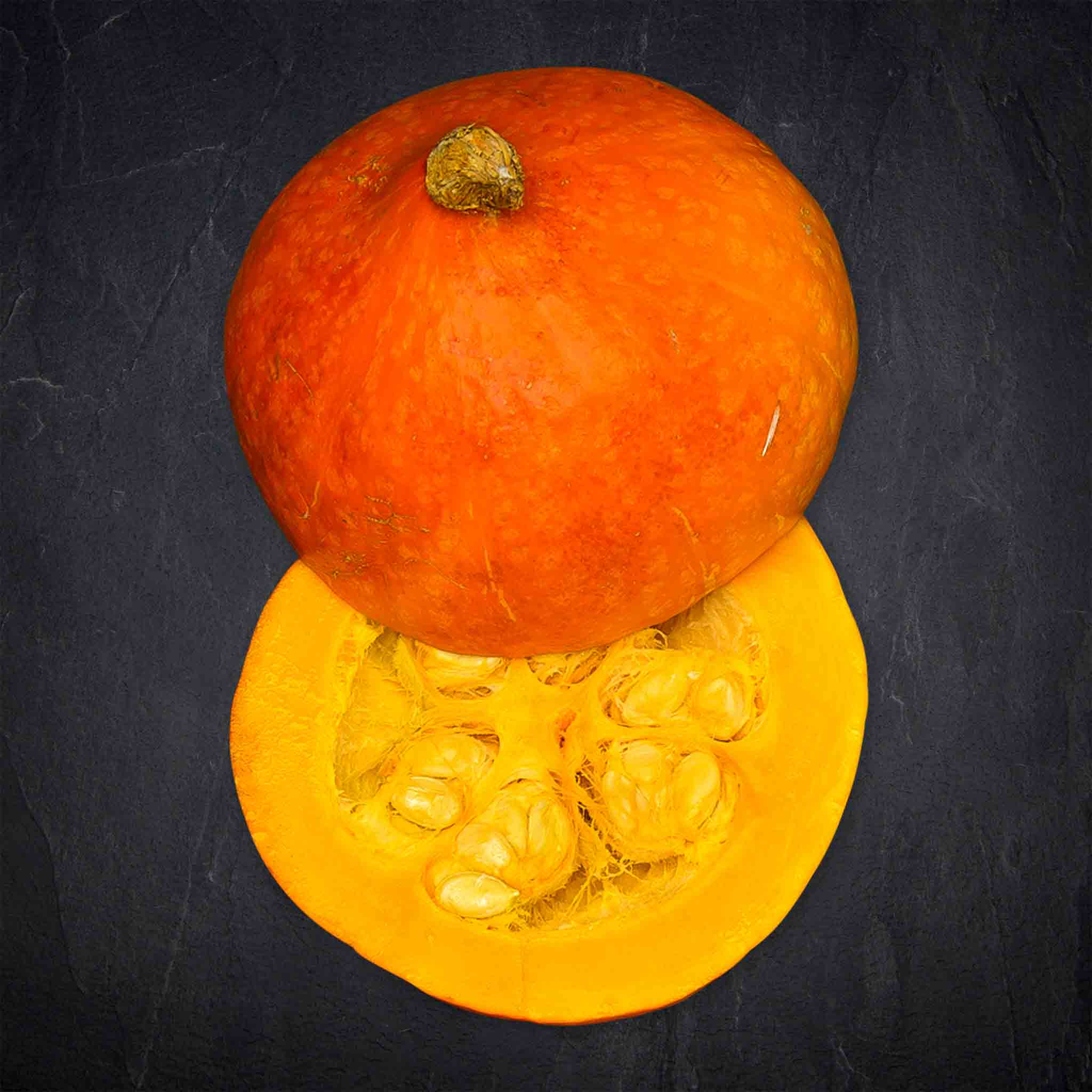 Hokkaido Kürbis