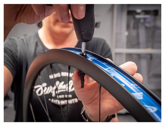 Paire de Valves Schwalbe Tubeless Noir