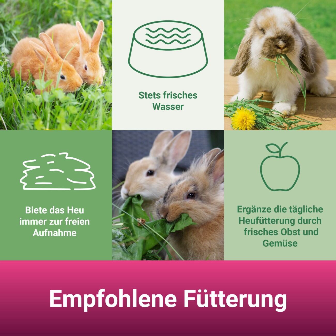 Panto ® BLÜTENWIESE