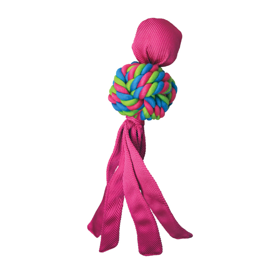 Brinquedo de mastigar Kong Wubba Waves para cães
