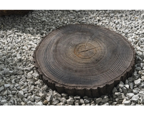Stapsteen boomschijf bruin Ø 30 - 40 cm