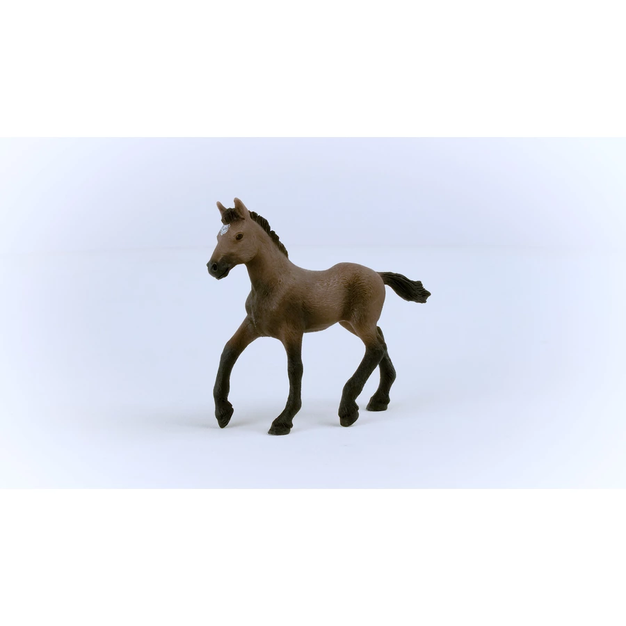 schleich® Paso Peruano Fohlen 13954