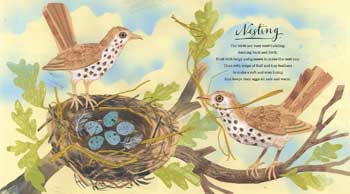 A First Book of Nature (Paperback)