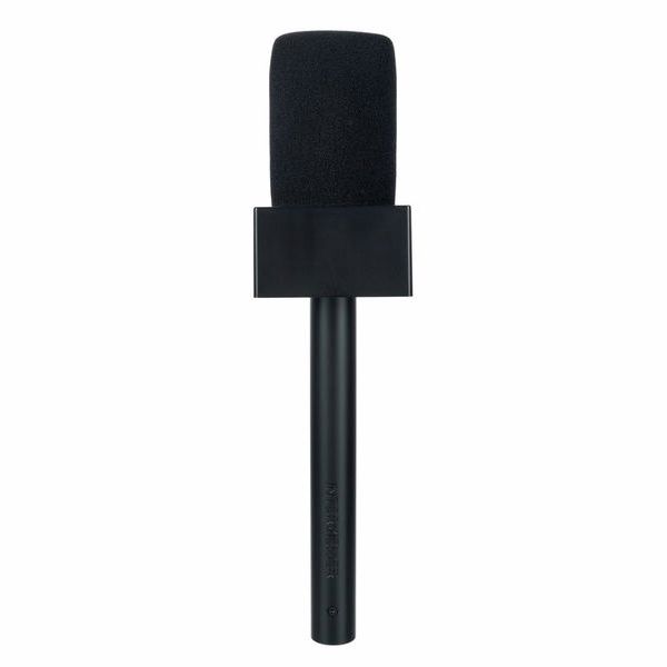 Lewitt Interviewer