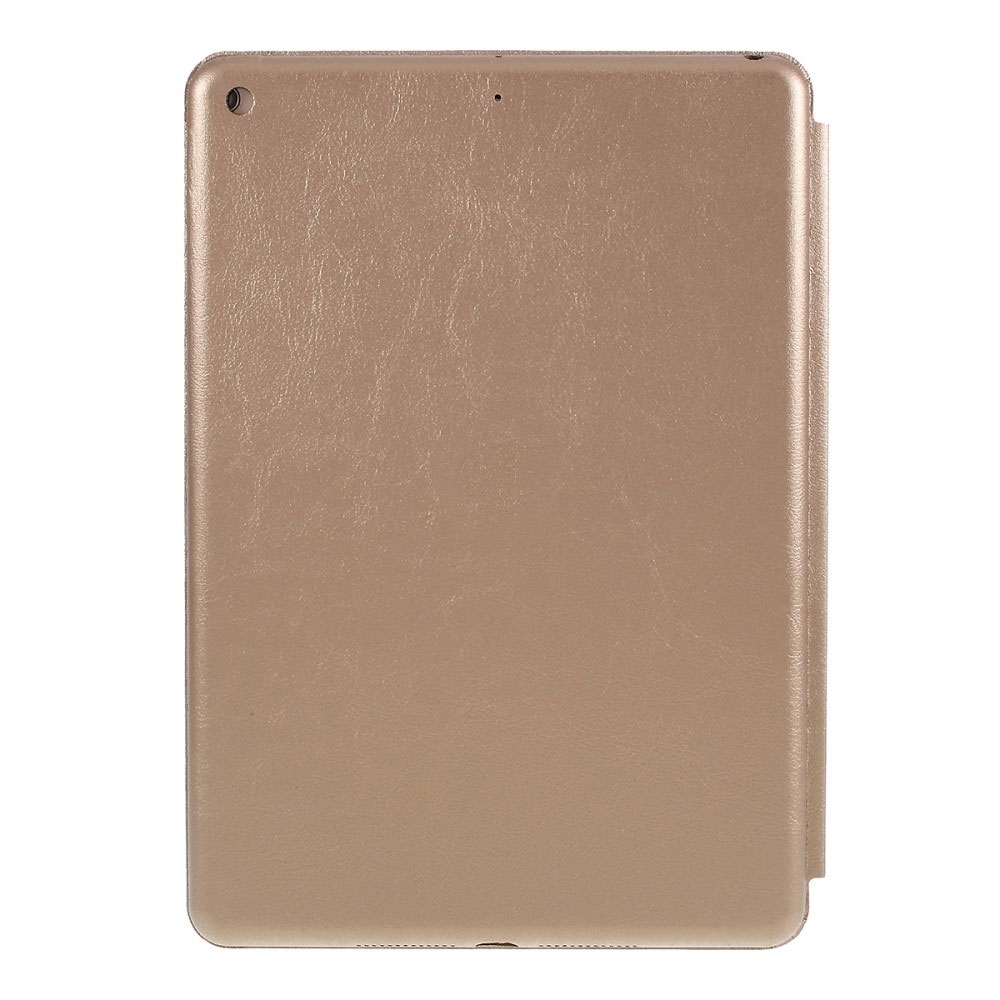 iPad 10.2