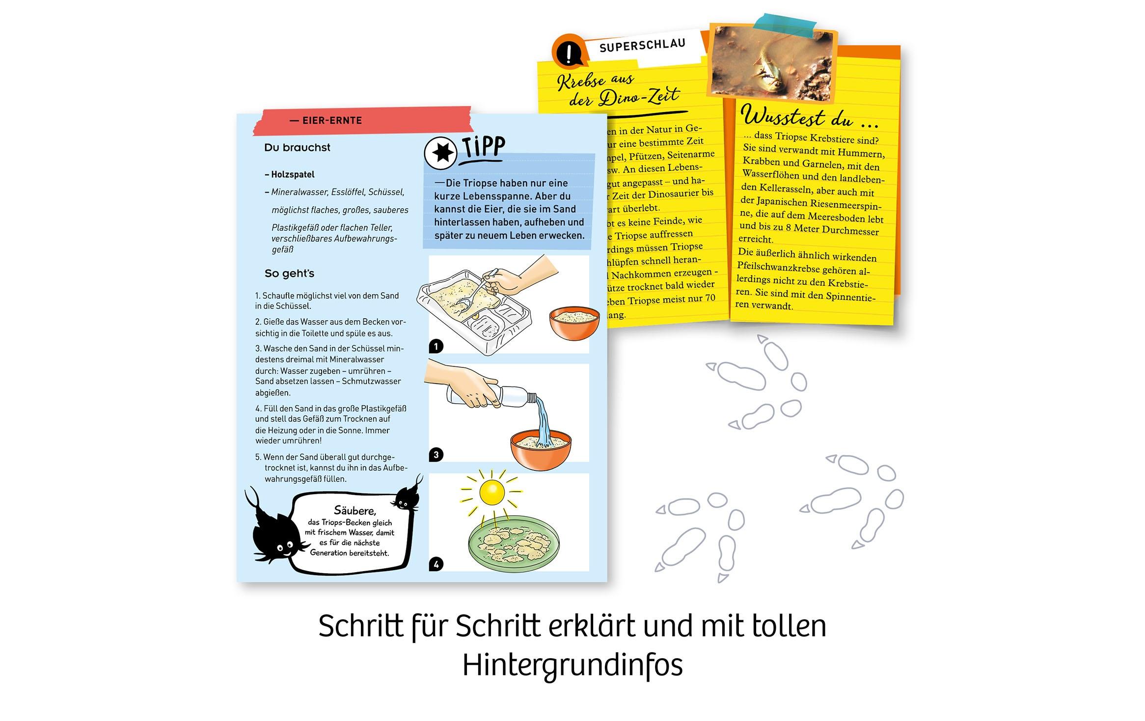 Experimentierkasten Fun Science – Triops züchtenErleben Sie die Krebse aus der Urzeit!