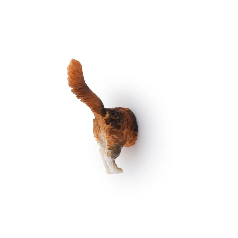 Cat Butt Magnets Set Of 6