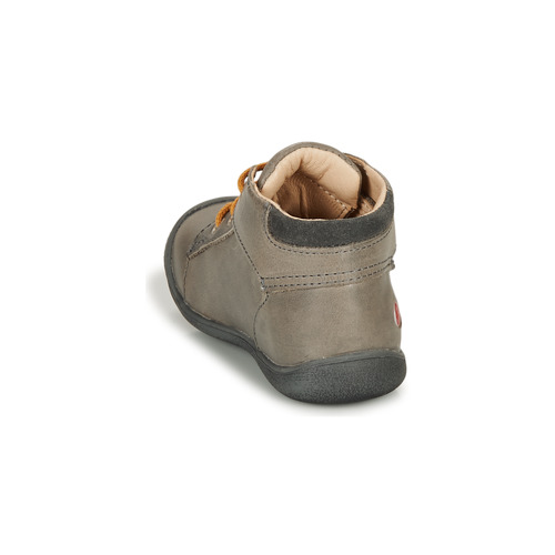 GBB - OVELO - Gris / Ocre