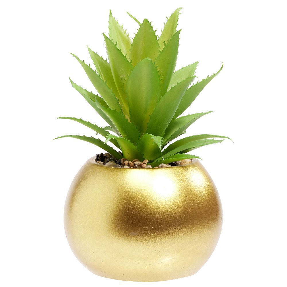 Plante succulente artificielle dans pot doré
