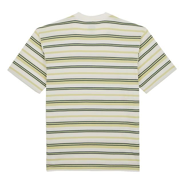 DICKIES - T-SHIRT MC GLADE SPRING TEE
