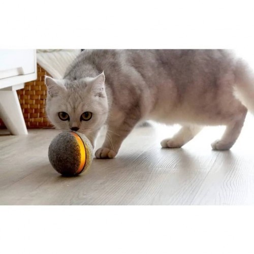 Brinquedo interativo para cães e gatos.