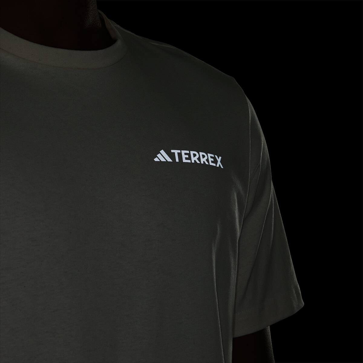 adidas Terrex GFX T-shirt Herre
