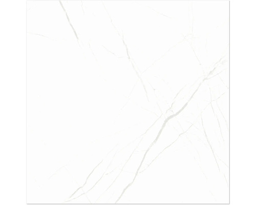 Steengoed wand- en vloertegel Davos wit 60 x 60 x 0,9 cm glanzend