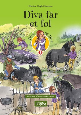 Diva Får Et Føl - Christina Holgård Sørensen - Bog
