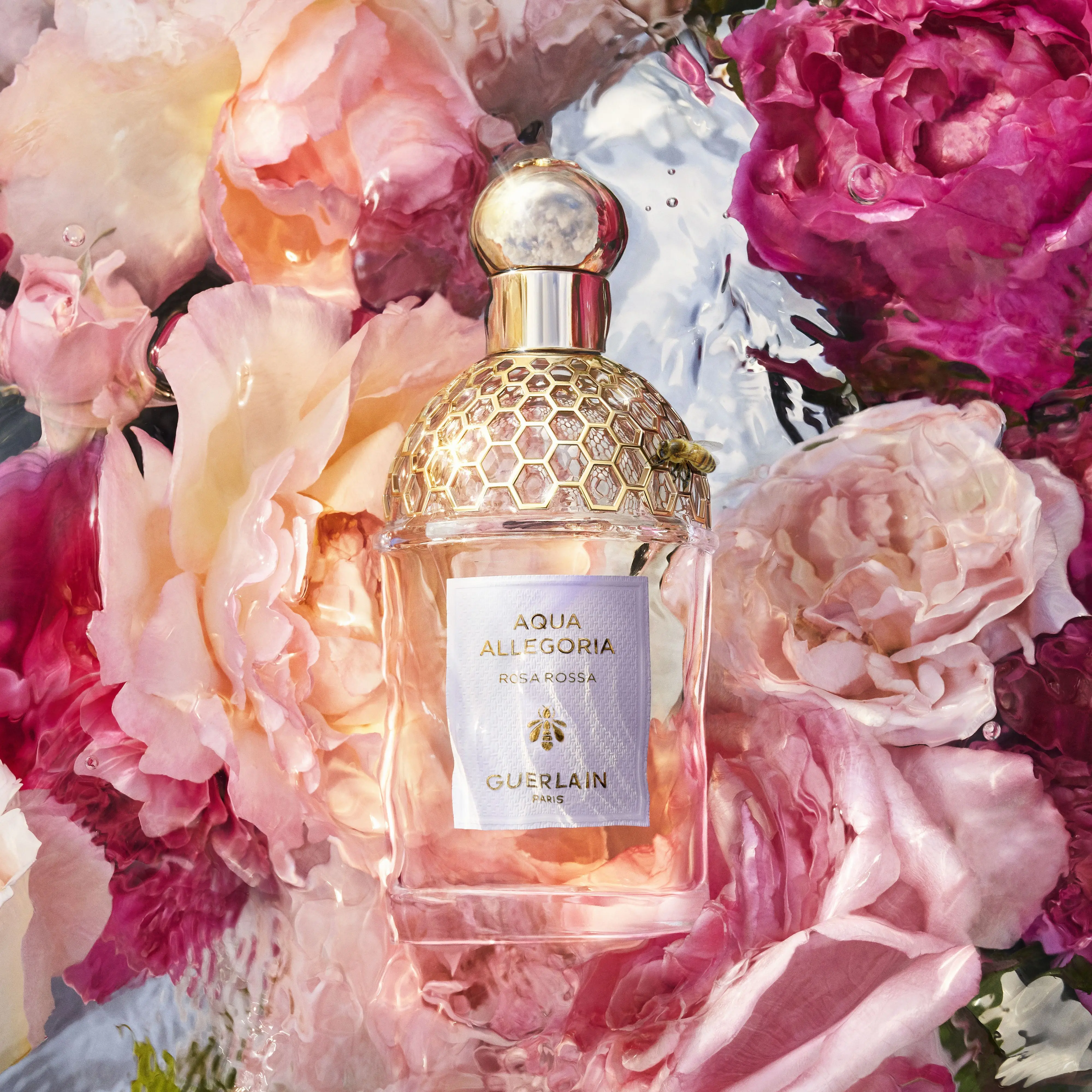 Guerlain - Aqua Allegoria Rosa Rossa- Eau de toilette
