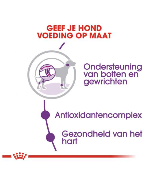 Royal Canin Giant Adult - Hondenvoer
