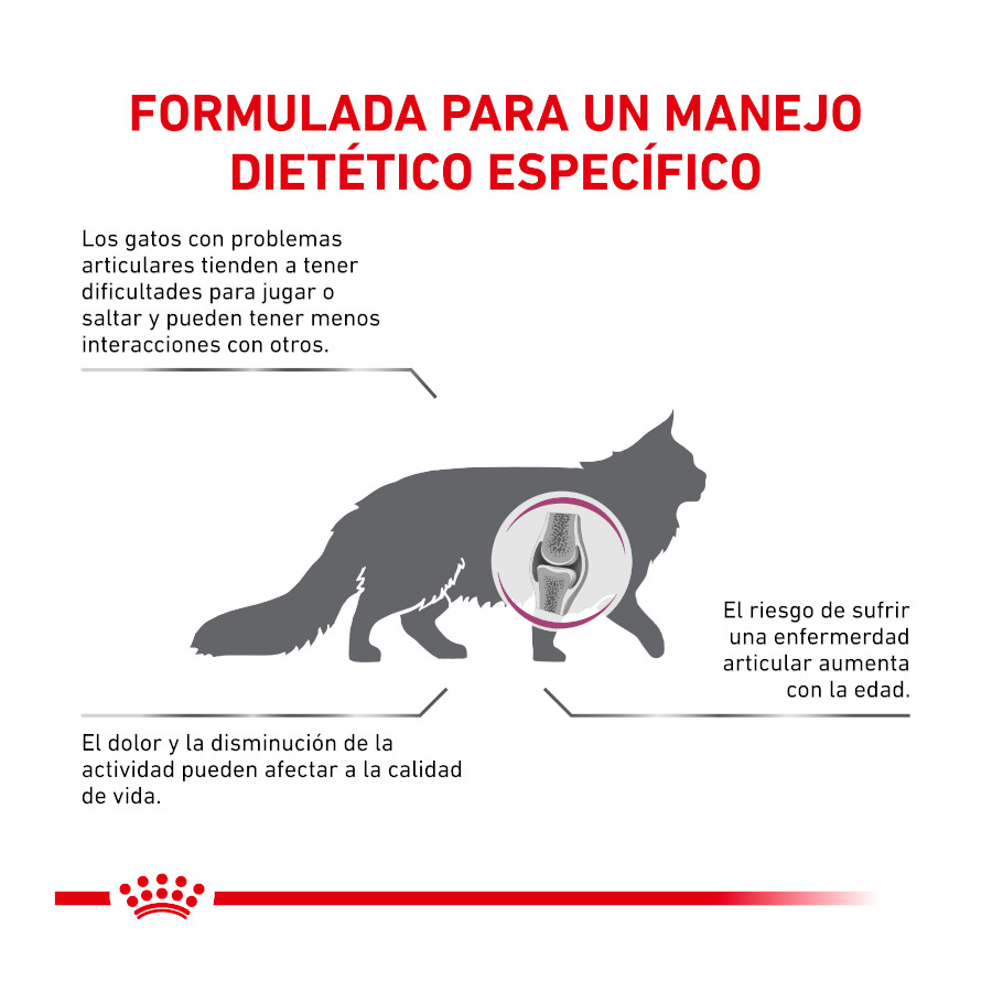 Ração Royal Canin Veterinary Mobility para gatos