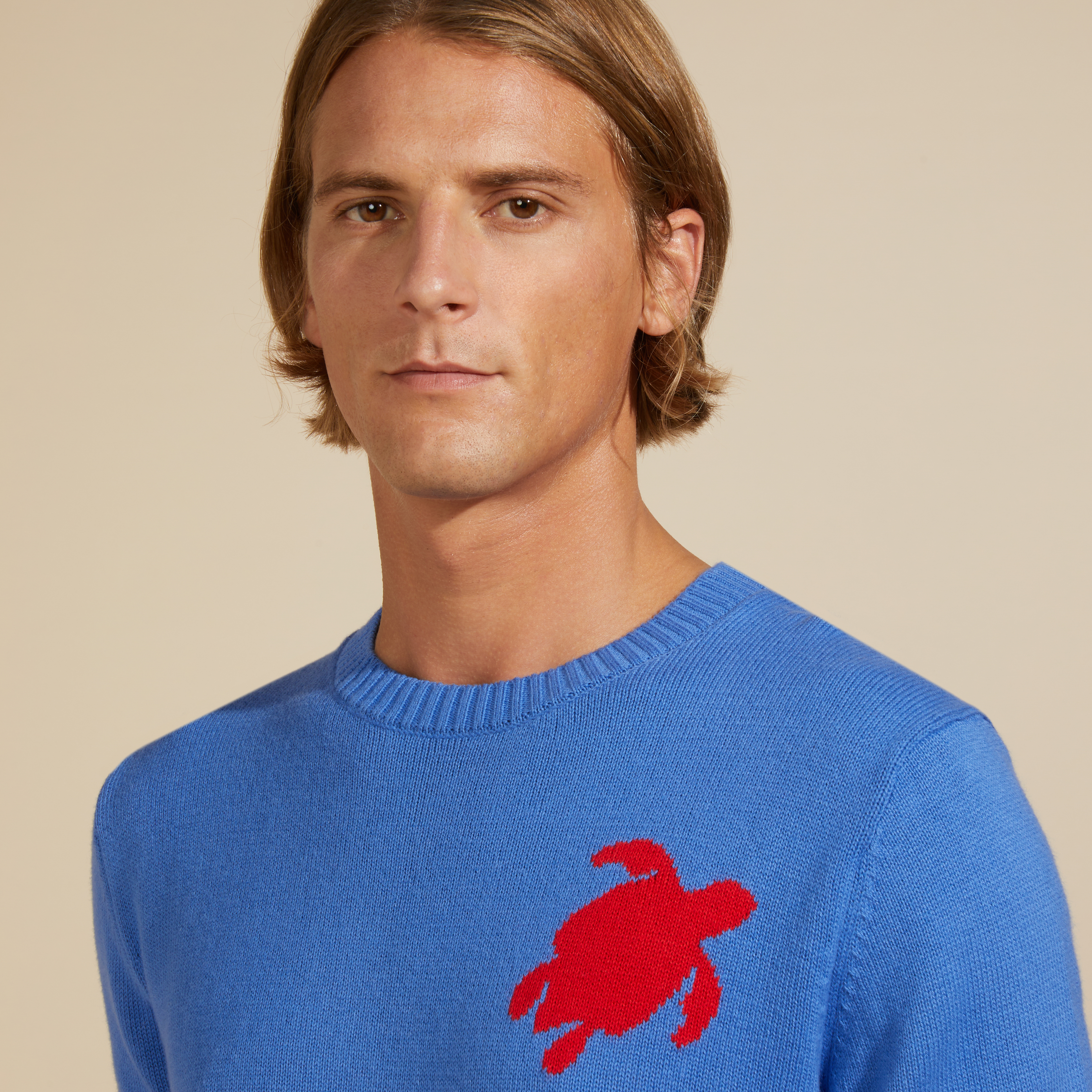Pullover en Coton et Cachemire Ras-du-cou Homme Tortue