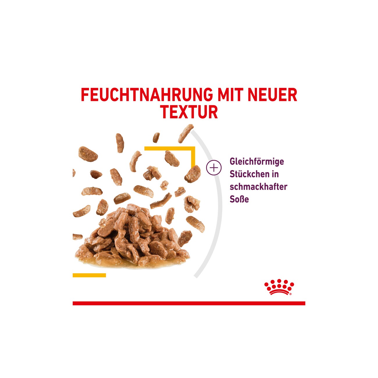 ROYAL CANIN Sensory Taste in Soße für wählerische Katzen 12x85 g
